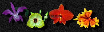 Impressum